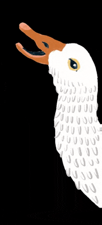 aktionagrar landwirtschaft agrar nutztiere agrarwende GIF