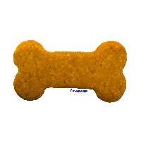 BIOZOO dog puppy pets perros Sticker