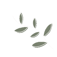 Plant Based Flower Sticker by Akimera