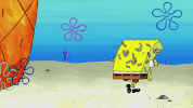 season 10 episode 3 GIF by SpongeBob SquarePants