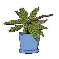 Plant Sticker