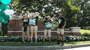 babsoncollege babson babson college GIF