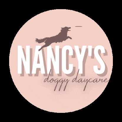 nancysdoggydaycare giphygifmaker giphygifmakermobile ndd nancys doggy daycare GIF