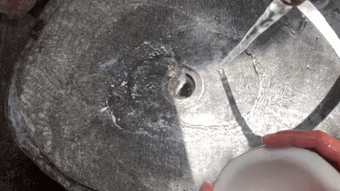 paulocarvalho4761 giphygifmaker GIF