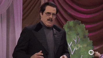 Snl GIF by Saturday Night Live