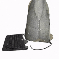 Rosetta Stone Trash GIF by Database數據