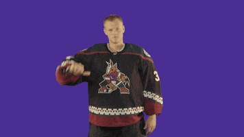 Sport Thumbs Down GIF by Arizona Coyotes