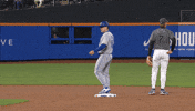 Blue Jays Applause GIF by Toronto Blue Jays