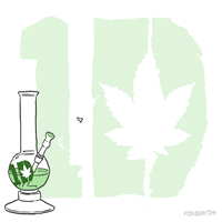 One Direction Fox GIF by gifnews