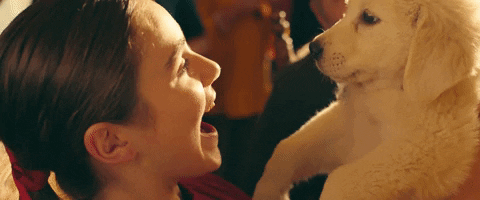 happy golden retriever GIF by Marshmello