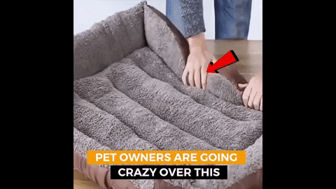 ibruns giphygifmaker GIF