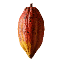 Nicaragua Cacao Sticker by Ritter Sport Italia