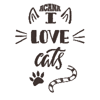 WonderfoodACANA cat gatto petfood love cats Sticker
