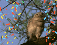 Dance Dancing GIF by Honda