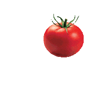 Sauce Tomato Sticker by Fugini Alimentos