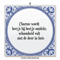 Humor Nl GIF by Tegelspreuken.nl