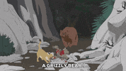 bear lion GIF by South Park 