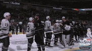 ice hockey sport GIF by NHL