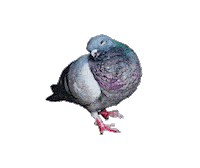 Loop 3D Sticker by wyattbertz