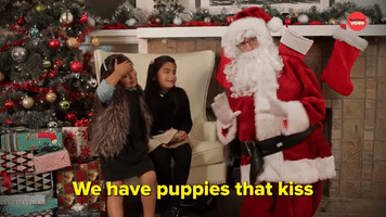We Have Puppies That Kiss The Presents