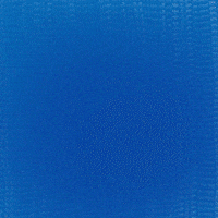 rosemodesto mato grosso do sul pantanal rose modesto eduardo riedel GIF