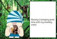 Monkey Gnome GIF