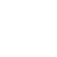 Design Flower Sticker