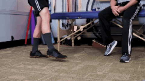 giphygifmaker GIF