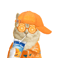 Cat Summer Sticker by Capri-Sun