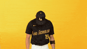 Cal State La Sport GIF by Cal State LA Golden Eagles
