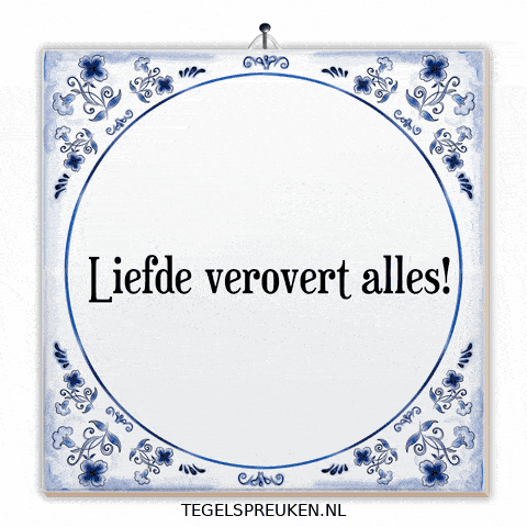 Humor Nl GIF by Tegelspreuken.nl