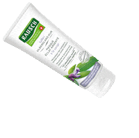 rausch_ag hair haircare shampoo cleanbeauty Sticker