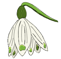 Flower Spring Sticker by scholzydesign