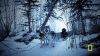 life below zero GIF by National Geographic Channel