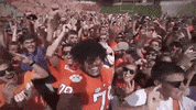Ncaa Football GIF by Clemson Tigers