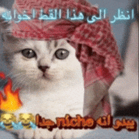Brainrot GIF
