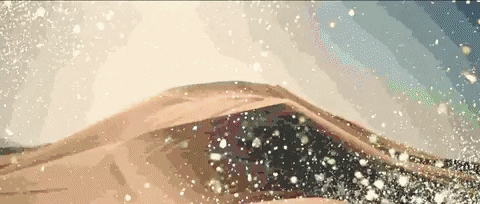 zedd giphydvr clarity zedd foxes GIF