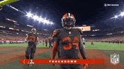 2018 nfl cleveland browns win GIF by NFL