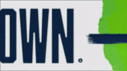 GIF by Seattle Seahawks