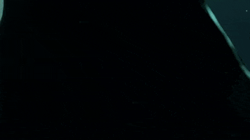 Destiny 2 Drifter GIF by DestinyTheGame
