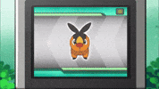 Happy Fire GIF by Pokémon