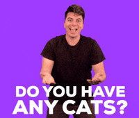 Cats Vavra GIF
