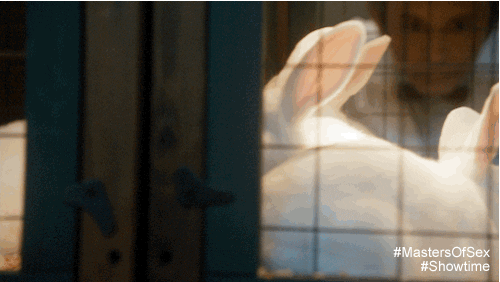 masters of sex GIF by Showtime