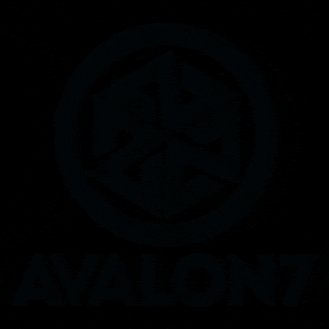 Adventure Snowboarding GIF by AVALON7