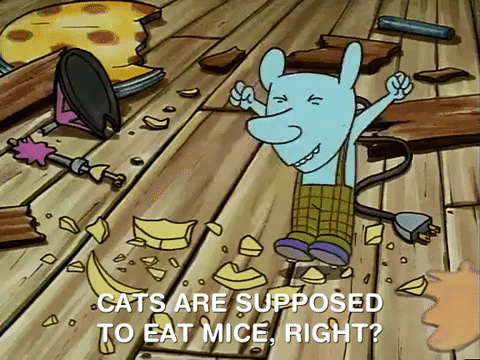 nicksplat GIF