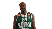 Basketball Hoops Sticker by Basket_fi