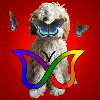 Butterflies Adhd GIF