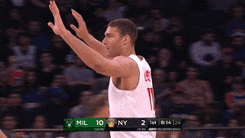 brook lopez basketball GIF by NBA