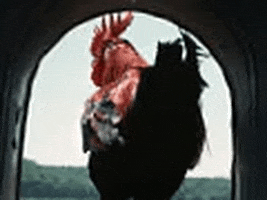 Vintage GIF by jorgemariozuleta