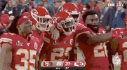 Super Bowl Football GIF by NFL